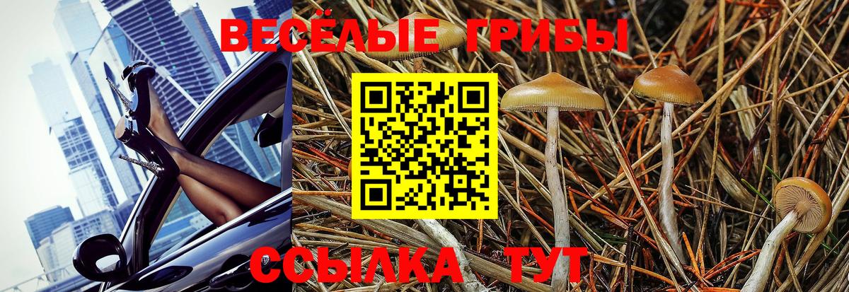 Алатырь  Галлюциногенные грибы Cubensis  Вход с VPN 